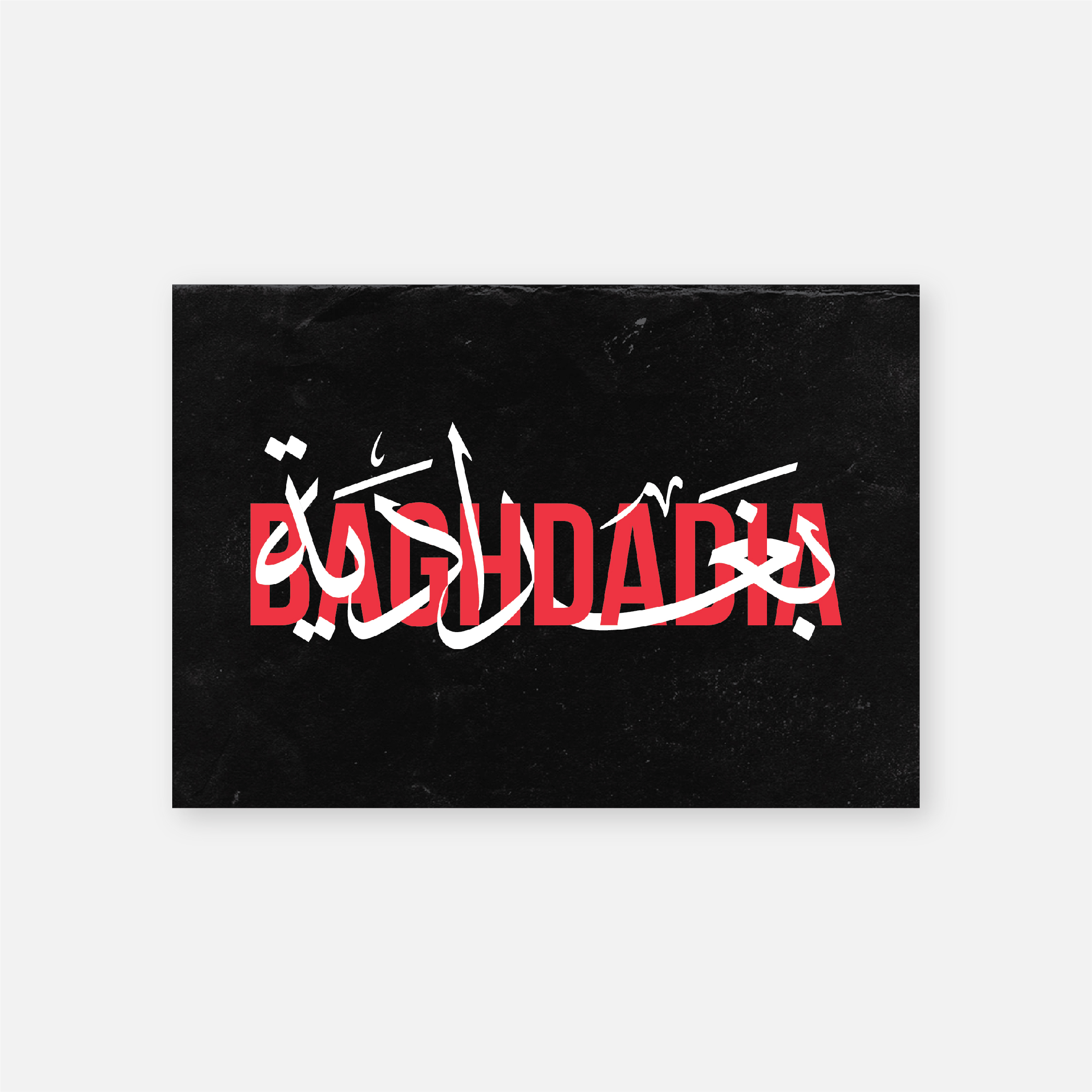 Baghdadia  بغدادية